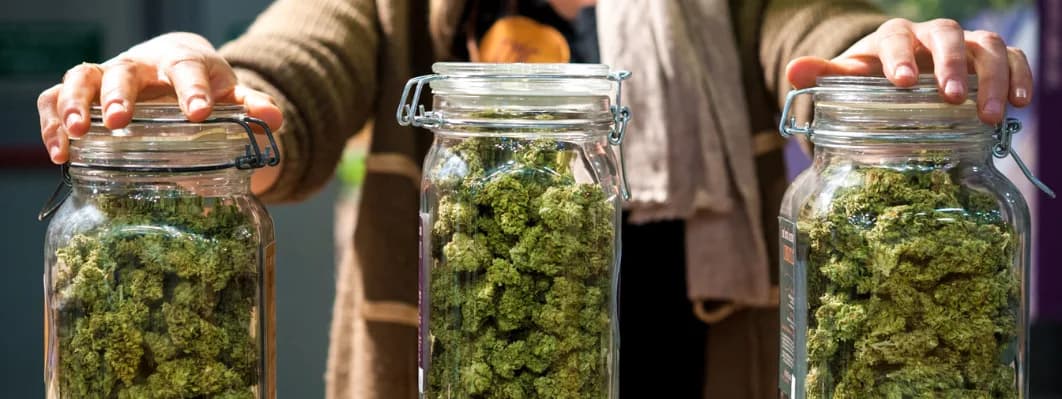 Safe Cannabis Storage Safe Cannabis Storage