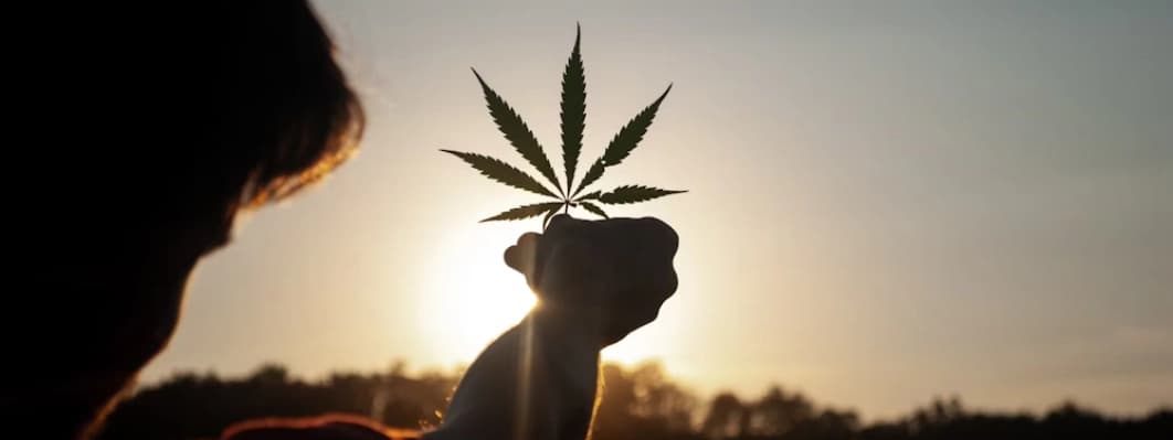 Travel with Cannabis in Michigan Travel with Cannabis in Michigan