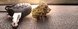 Driving and Cannabis: What’s Legal, What’s Not? Driving and Cannabis: What’s Legal, What’s Not?