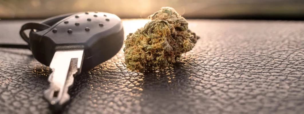 Driving and Cannabis: What’s Legal, What’s Not? Driving and Cannabis: What’s Legal, What’s Not?